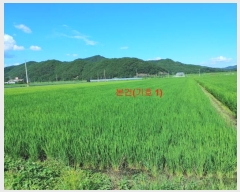  2023Ÿ��11390 �泲 ��õ�� û���� �� 101-2      ����(��)���