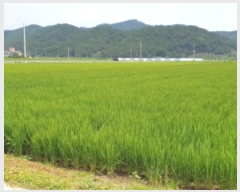  2023Ÿ��11390 �泲 ��õ�� û���� �� 101-2      ����(��)���