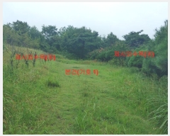  2023Ÿ��765  �����