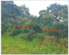  2023Ÿ��765  �����