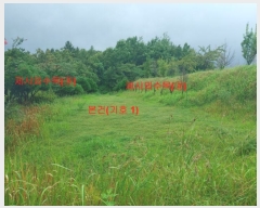  2023Ÿ��765  �����