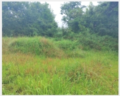  2023Ÿ��765  �����