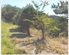  2023Ÿ��765  �����