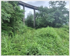  2023Ÿ11284 泲 â   1072-14      