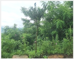  2023Ÿ11284 泲 â   1072-14      