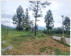  2023Ÿ11284 泲 â   1072-14      