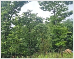  2023Ÿ11284 泲 â   1072-14      