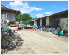  2023Ÿ��11444  �������