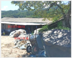  2023Ÿ��11444  �������