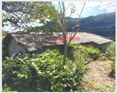  2023Ÿ��11444  �������