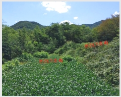  2023Ÿ��11444  �������