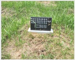  2023Ÿ11642 泲 õ ߸ õ 135      ()
