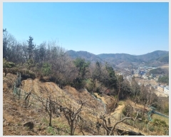  2023Ÿ101055 泲 â   552-9      ()