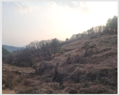  2023Ÿ101055 泲 â   552-9      ()