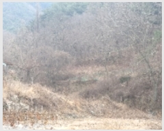  2023Ÿ100489 泲 Ծȱ θ κ 743      ()