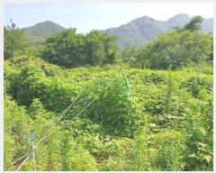  2023Ÿ��2080 �泲 â���� ���������� ������ �Ͼϸ� 507     ����,â�����