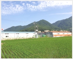  2023Ÿ��2080 �泲 â���� ���������� ������ �Ͼϸ� 507     ����,â�����