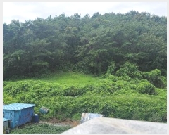  2023Ÿ��2530 �泲 �Ծȱ� ������ ��긮 415      ����(��1)���