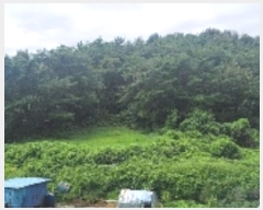  2023Ÿ��2530 �泲 �Ծȱ� ������ ��긮 415      ����(��1)���