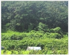  2023Ÿ��2530 �泲 �Ծȱ� ������ ��긮 415      ����(��1)���