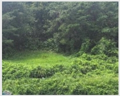  2023Ÿ��2530 �泲 �Ծȱ� ������ ��긮 415      ����(��1)���