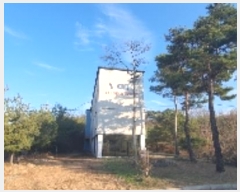  2023Ÿ3830 泲 Ծȱ ϸ 븮 474      ð