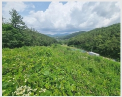  2023Ÿ��1797 �泲 â���� ���������� ����� ��� 400     ����(��)���