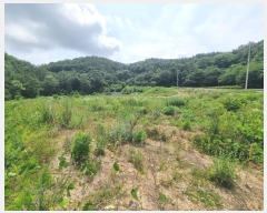  2023Ÿ��1797 �泲 â���� ���������� ����� ��� 400     ����(��)���