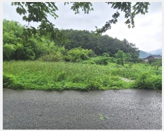  2023Ÿ103556 泲 â   ڰ 32-21     ð