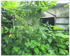  2023Ÿ103556 泲 â   ڰ 32-21     ð