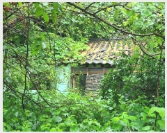  2023Ÿ103556 泲 â   ڰ 32-21     ð