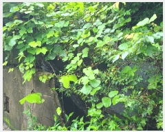  2023Ÿ103556 泲 â   ڰ 32-21     ð