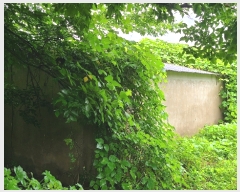  2023Ÿ103556 泲 â   ڰ 32-21     ð