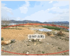  2023Ÿ105460 泲 Ծȱ   167-5      ()