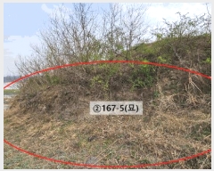  2023Ÿ105460 泲 Ծȱ   167-5      ()