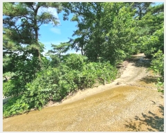  2023Ÿ71934   ޸ ΰ 733 1     (ķ)