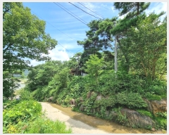  2023Ÿ71934   ޸ ΰ 733 1     (ķ)