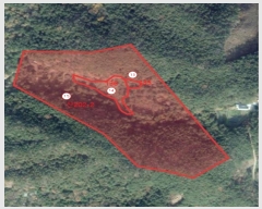  2023Ÿ71934   ޸ ΰ 733 1     (ķ)