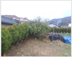  2023Ÿ9045  强  1 31-7      ð