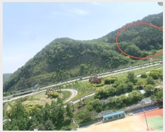  2023Ÿ67799   굿 252       (Ӿ)