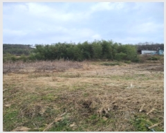  2023Ÿ��82897 ���� �强�� ����� ��ϸ� 483      ����(��1)���