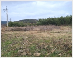  2023Ÿ��82897 ���� �强�� ����� ��ϸ� 483      ����(��1)���