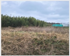  2023Ÿ��82897 ���� �强�� ����� ��ϸ� 483      ����(��1)���