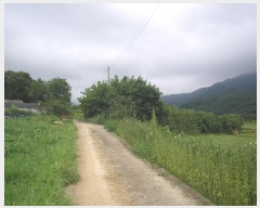  2023Ÿ6619   븶  583-7      ()