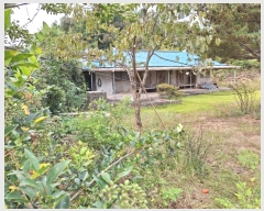  2023Ÿ77529  ֽ ݳ õ 136      (1)