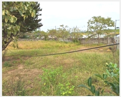  2023Ÿ77529  ֽ ݳ õ 136      (1)