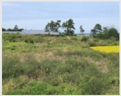  2023Ÿ77529  ֽ ݳ õ 136      (1)