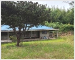  2023Ÿ77529  ֽ ݳ õ 136      (1)