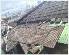  2023Ÿ��7087  ���ð��