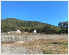  2023Ÿ��8448 ���� ��籺 ����� �߿��� 656      ����(����)���